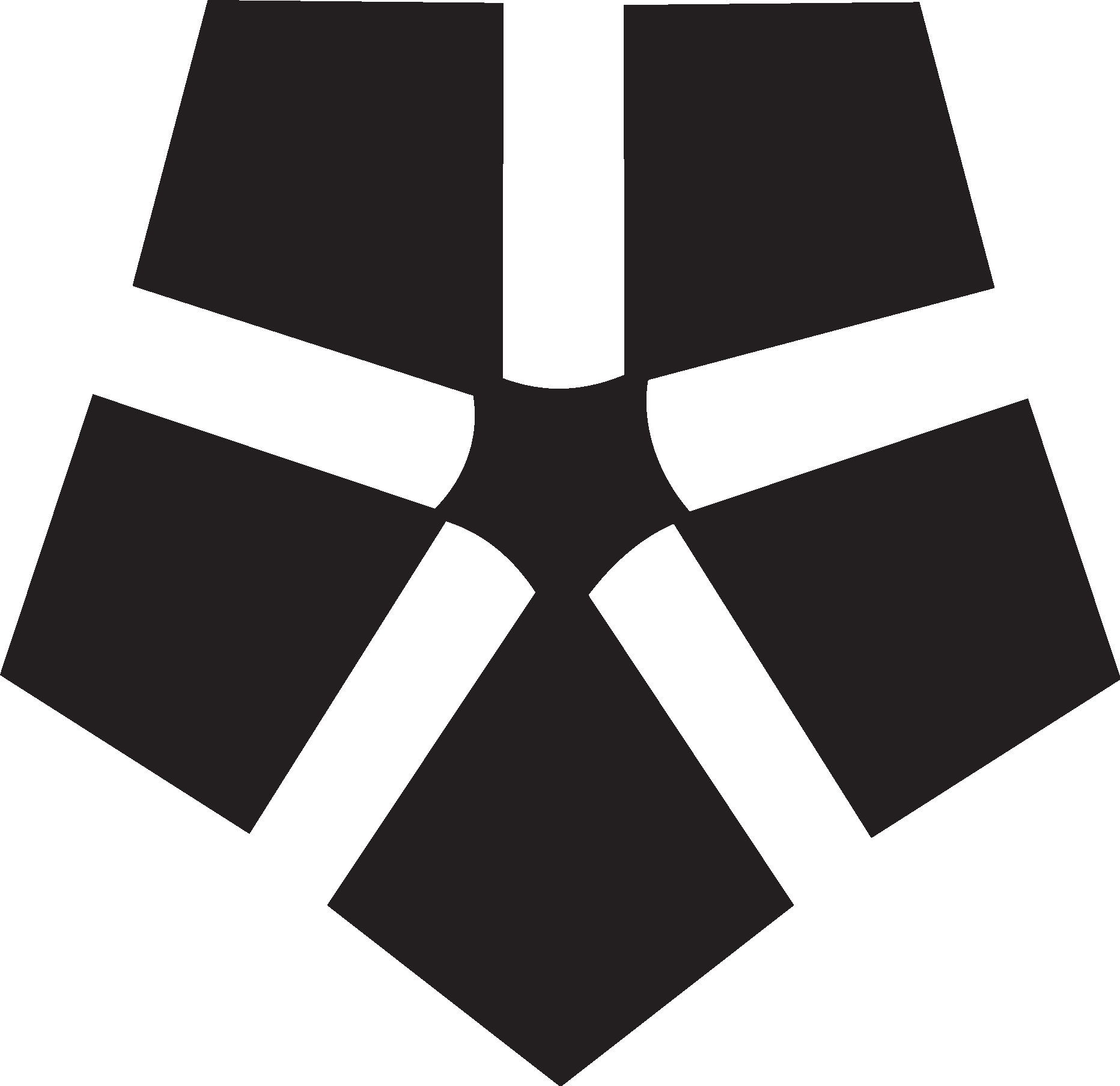Associacao Portelense De Futebol De Tenente Portela RS Logo Vector Logo